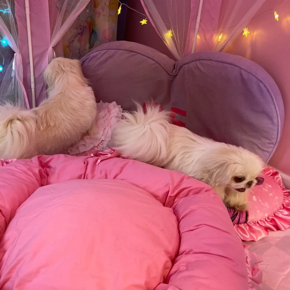 Fairytale Dreams Pink Ruffled Pet Bed
